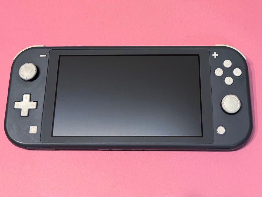 Nintendo Switch Lite グレー 本体 箱 充電器