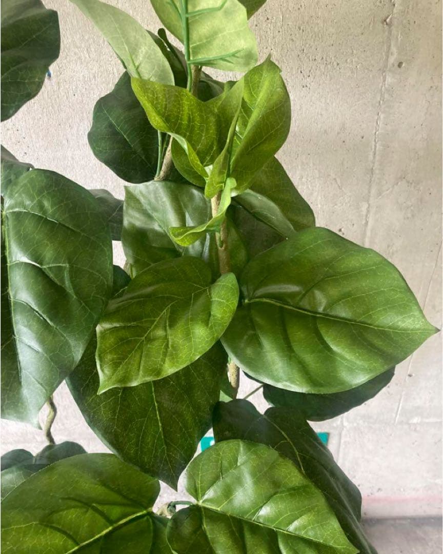 光触媒　人工観葉植物　ウォールグリーン　フェイクグリーン　ウンベラータ144