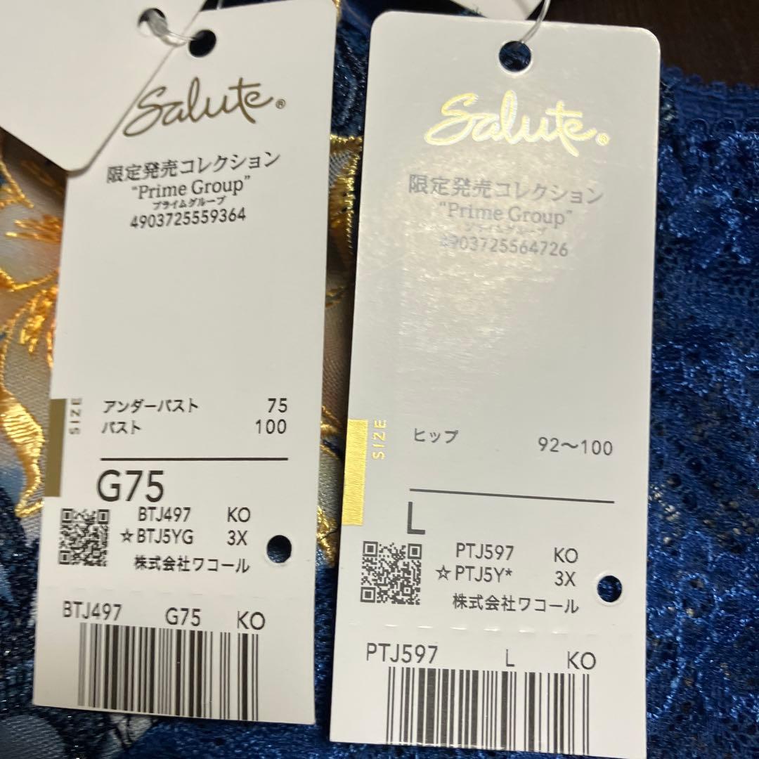 ワコール　97g マレフィセント　G75