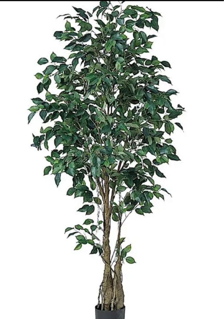 光触媒　人工観葉植物　ウォールグリーン　フェイクグリーン　フィカスツリー152
