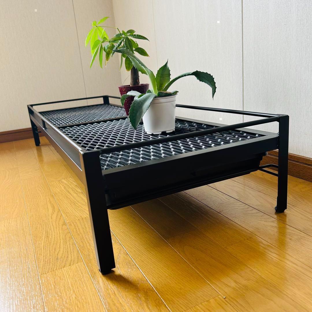 年末年始セール　植物棚　シェルフ　アガペラック 124cm x 41cm