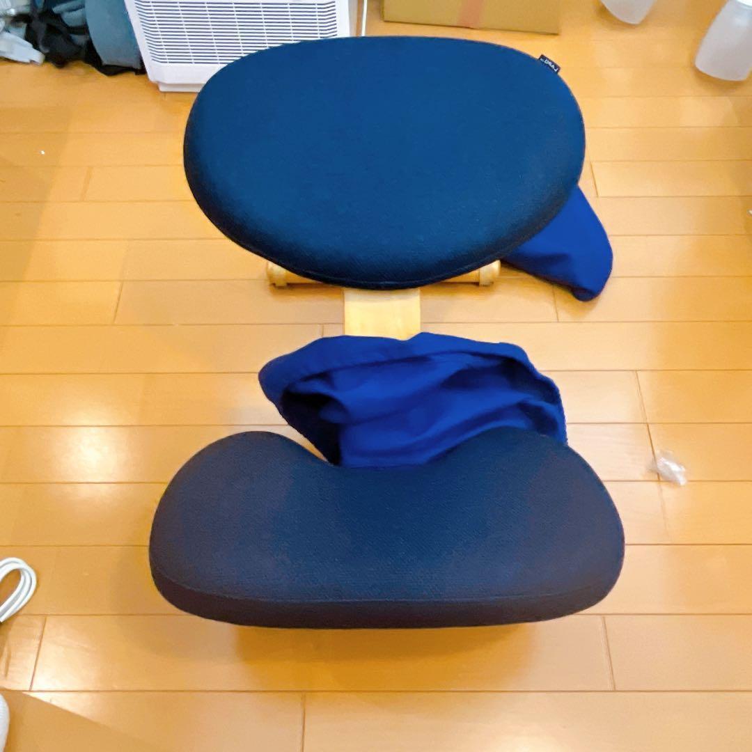 Rybo バランスチェア Balans EASY 姿勢矯正 学習椅子 カバー付き