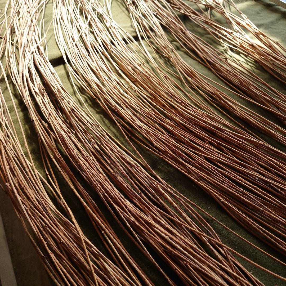 アケビの蔓(根蔓ランナー)