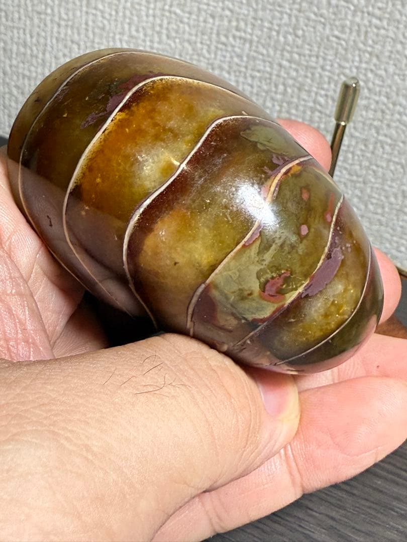 極美品マダガスカル産　オウムガイ化石　本物希少 貴重品　置物　限定1個　送料無料