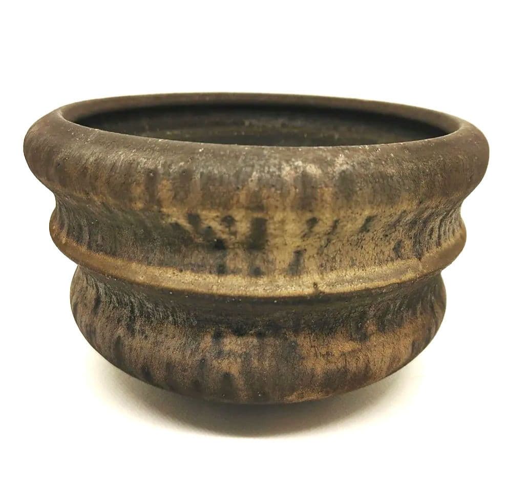 細川政己 鉢 y鉢