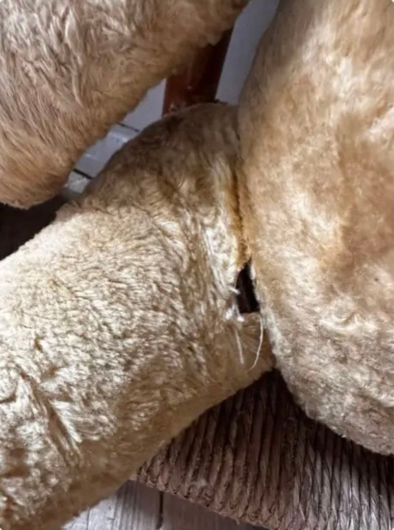 アンティーク つぶらな瞳の可愛いエプロンをつけた ベアーちゃん