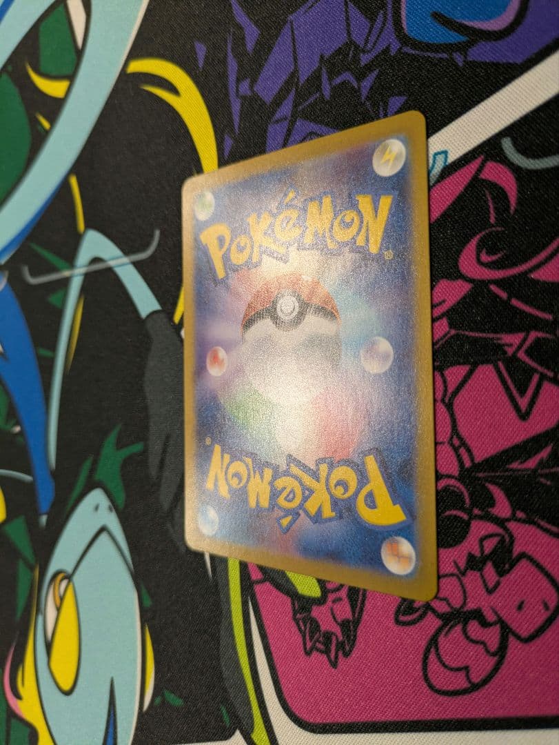 ブラッキーex SAR テラスタルフェスex 217/187