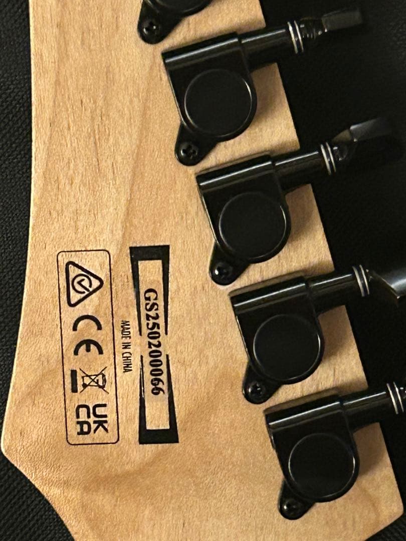 Ibanez RGV250-BK ソフトケース アーム 説明書付属 値下げ交渉〇