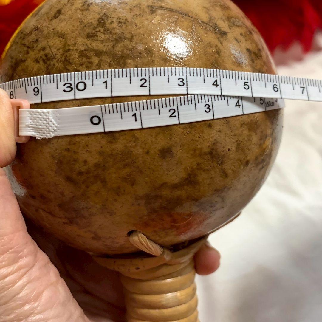 フラダンス ウリウリ 分離型 専用カバー付