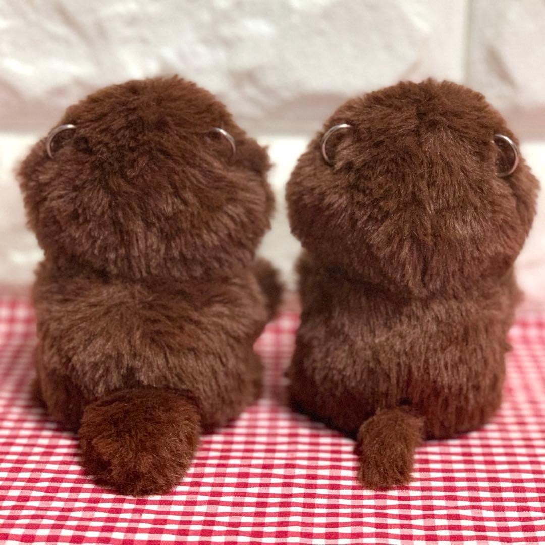 【⑧様】レッサーパンダ＆コツメカワウソ＆コウベモグラ＆アメリカビーバー 着ぐるみ