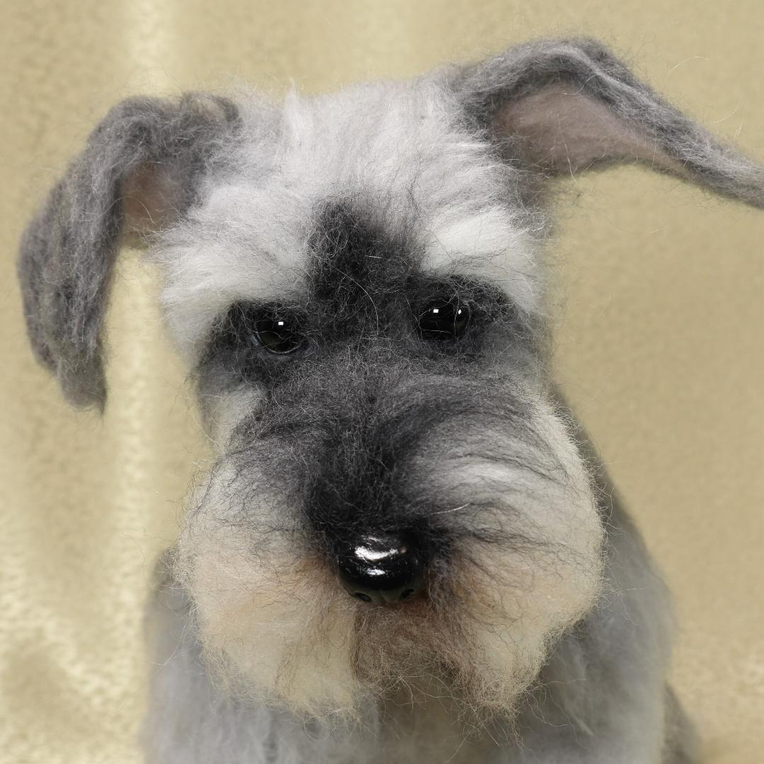 羊毛フェルト ちょりん様確認用 シュナウザー ハンドメイド 犬 オーダー