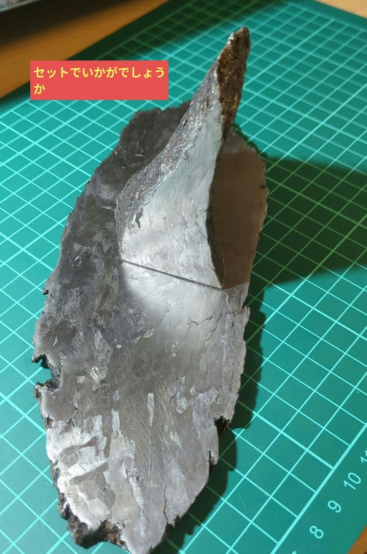 カンポデルシエロ隕石