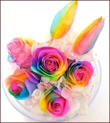 【楽天ランキング1位】プリザーブドフラワー レインボーチューリップドーム