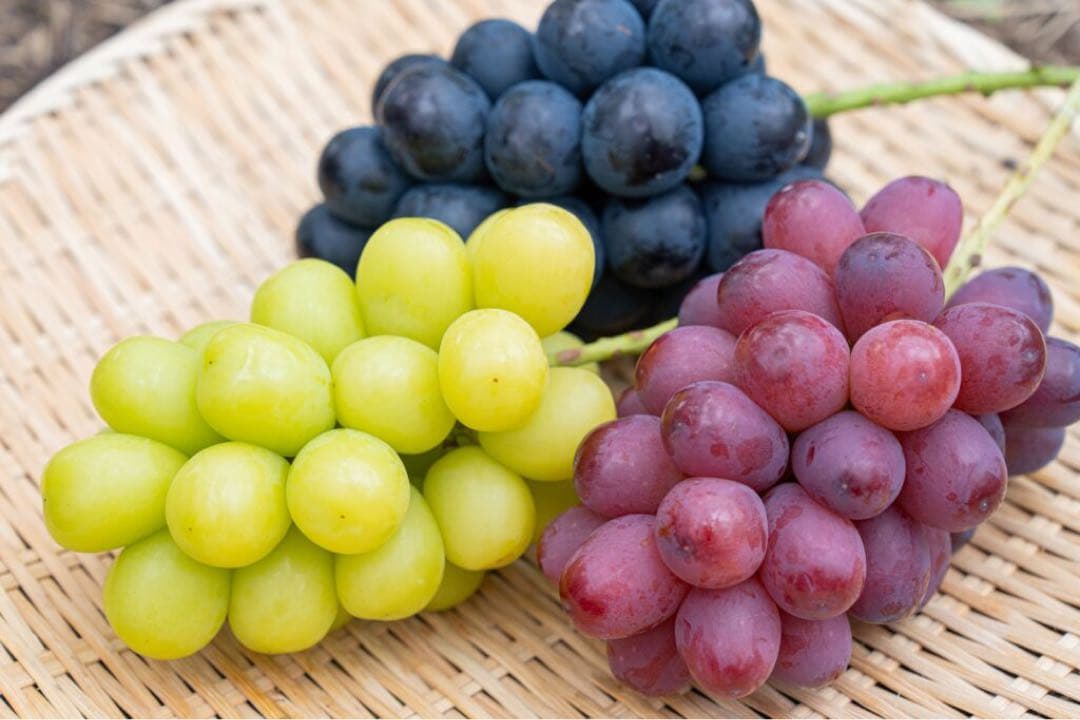 3種類のぶどう盛り合わせ