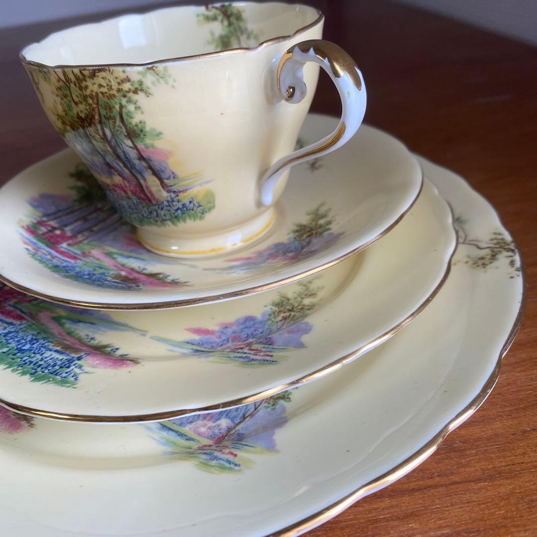 エインズレイ　ブルーベル　クリームイエロー　カルテットカップ　ソーサー　プレート