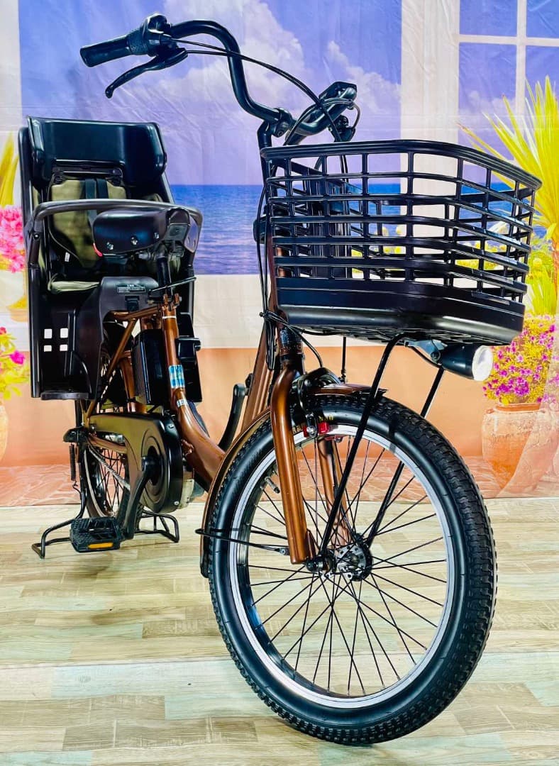 激レアギュットアニーズ 2019モデル⭐️16AH！子供乗せ電動自転車Y3243