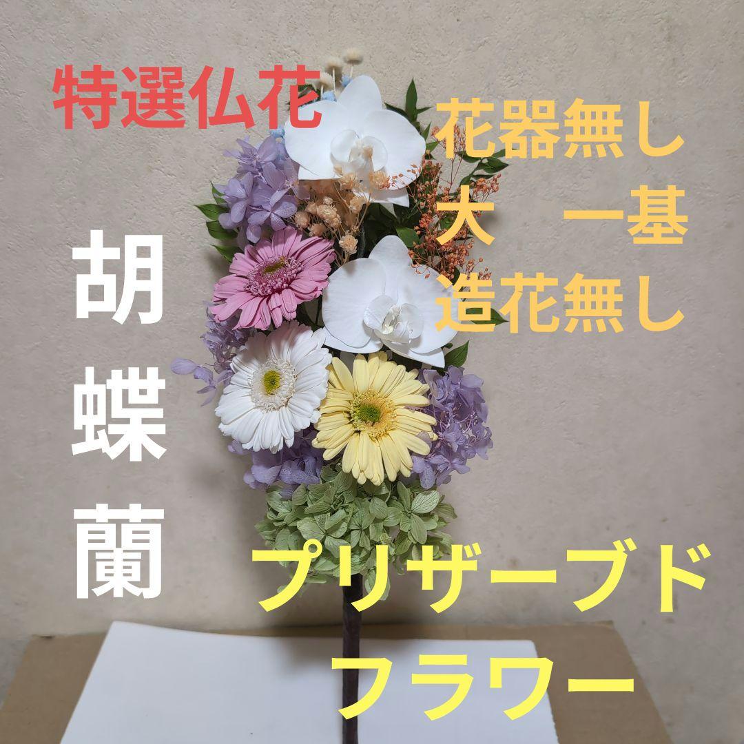 特選仏花　 胡蝶蘭　ガーベラ 花器無し　造花無し　 大一基 プリザーブドフラワー