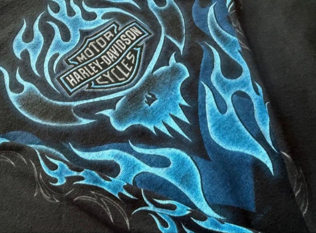ハーレーダビッドソン ロンT ブルーフレイム ファイヤー USA製