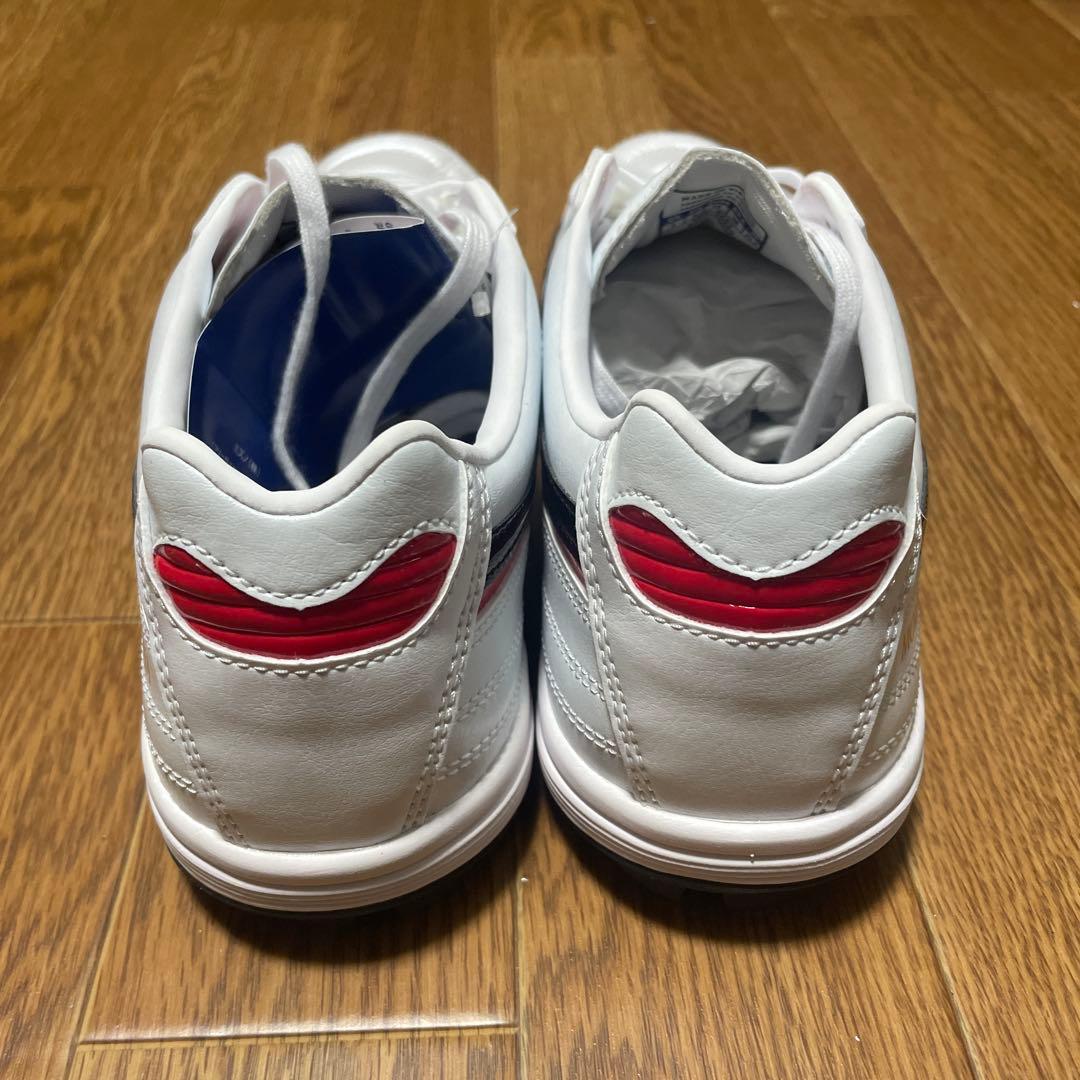mizuno モレリア TF ホワイト/ブラック 25.0cm