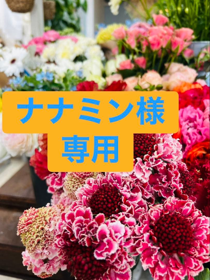 【未使用品】ロイヤルコペンハーゲン　クリスマスプレート　5枚セット