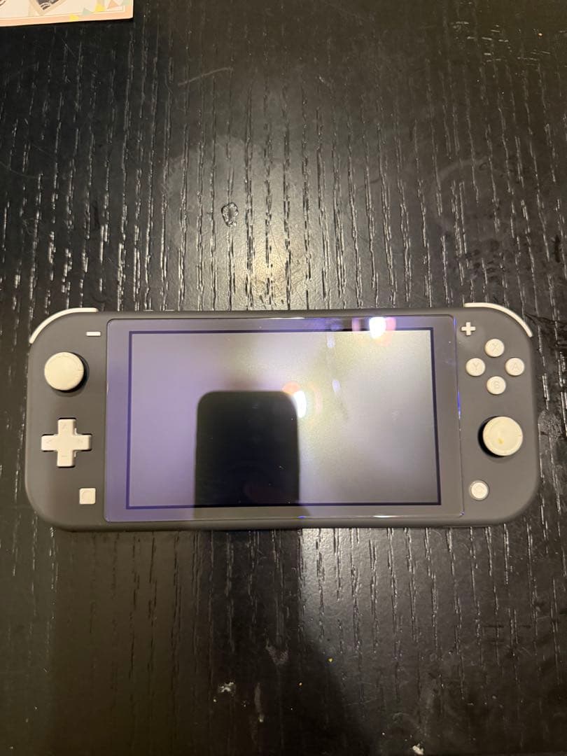 げ*ん様 Nintendo Switch Lite グレー