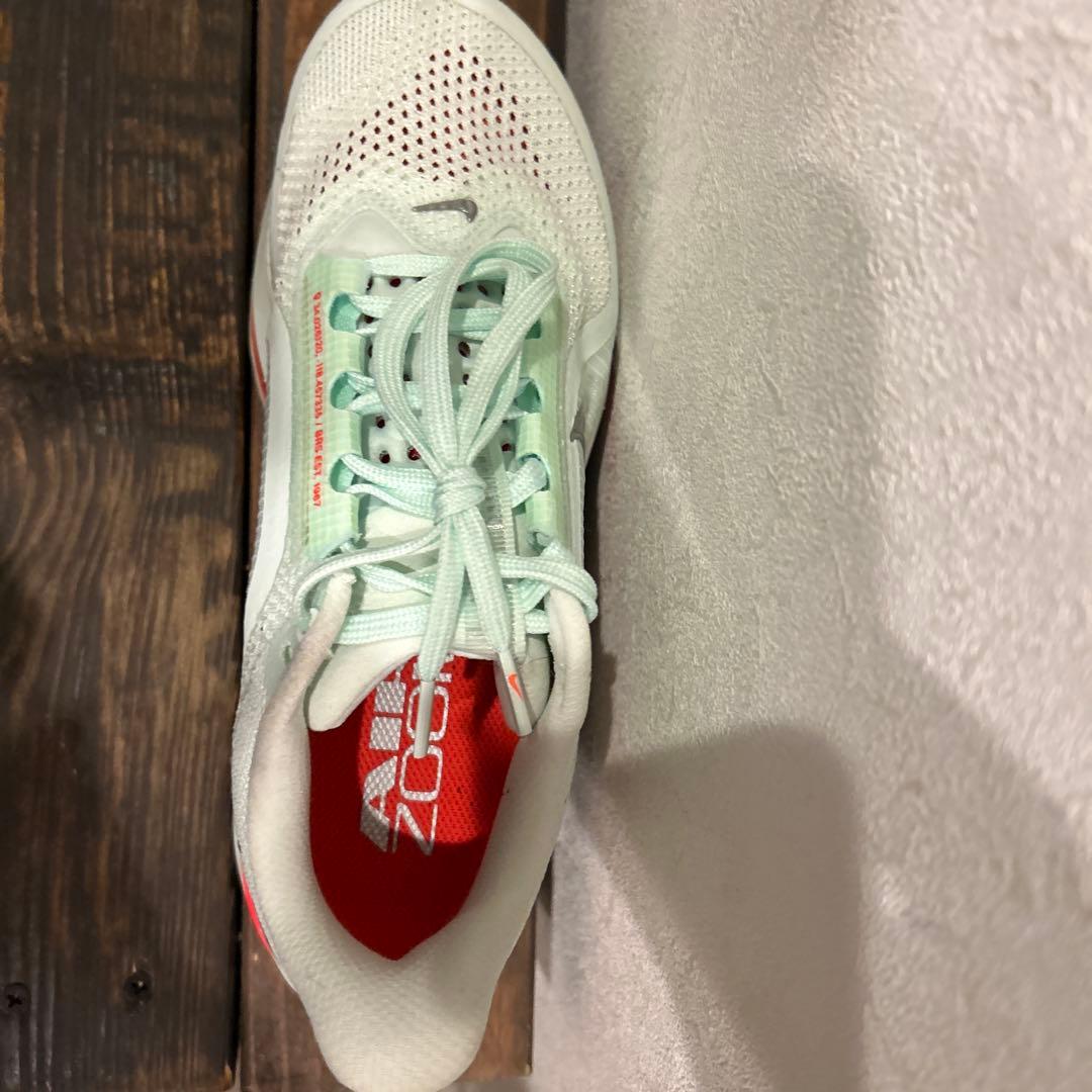 Nike Zoom ペガサスプレミアム　ホワイト/ミント