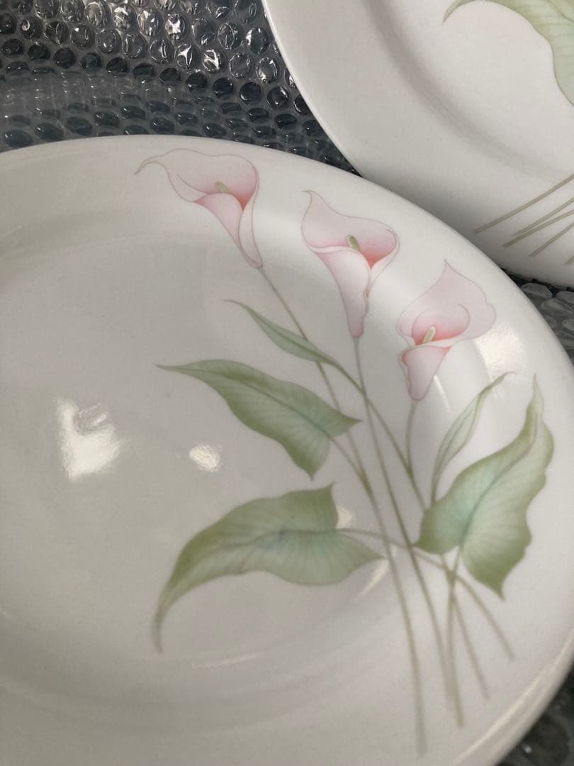 コーレルアメリカカラー皿