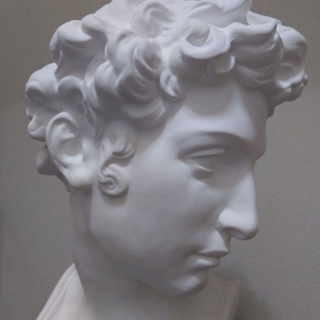メディチ 石膏像