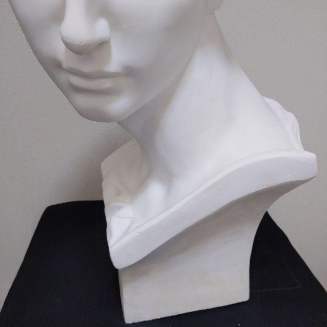 メディチ 石膏像