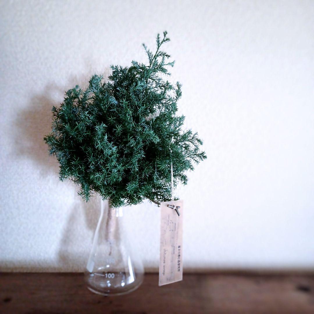 新品 未使用 ドライフラワー スワッグ ヒムロスギ 【order】