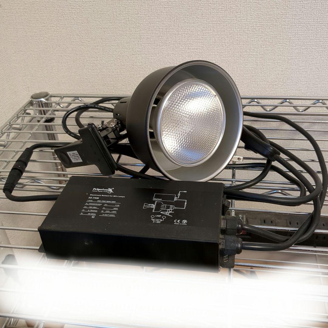 爬虫類照明　メタハラ