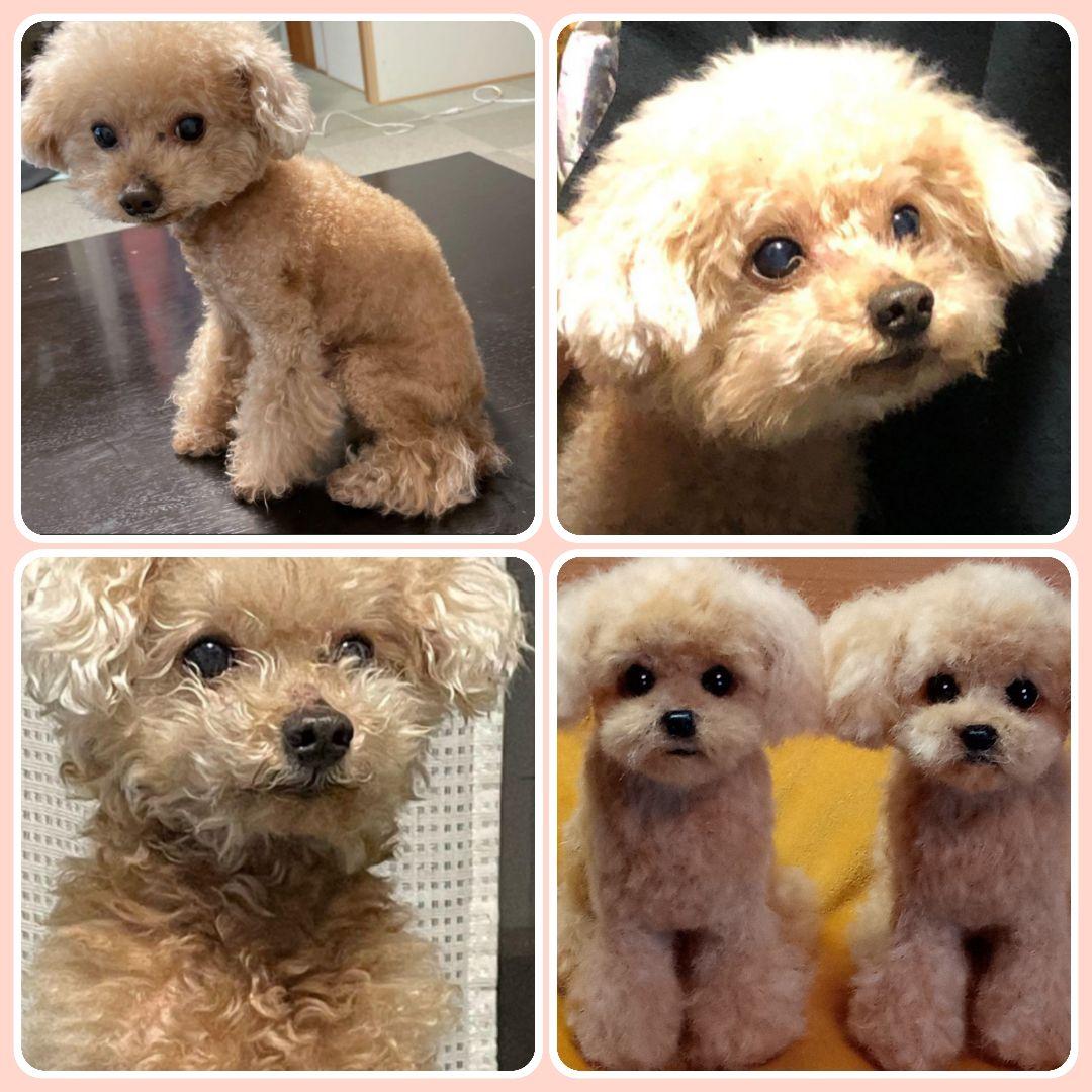 愛犬の羊毛フェルトオーダー・WENDYページ