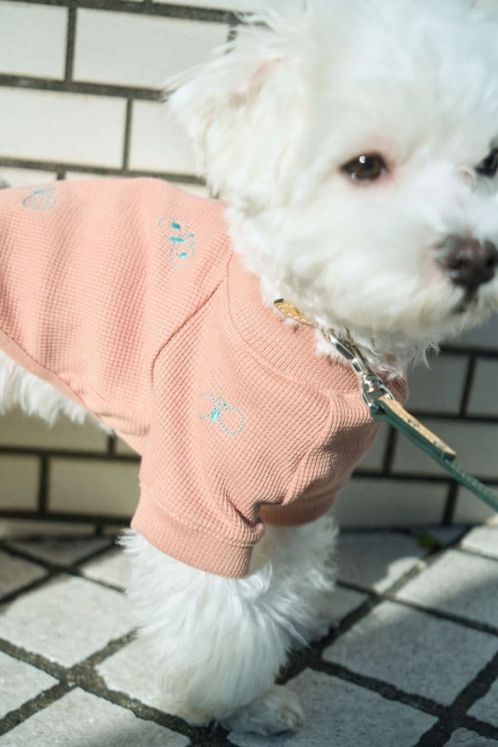 未使用！ミナペルホネンchoucho dog wear 犬服　ワッフル　ピンクS