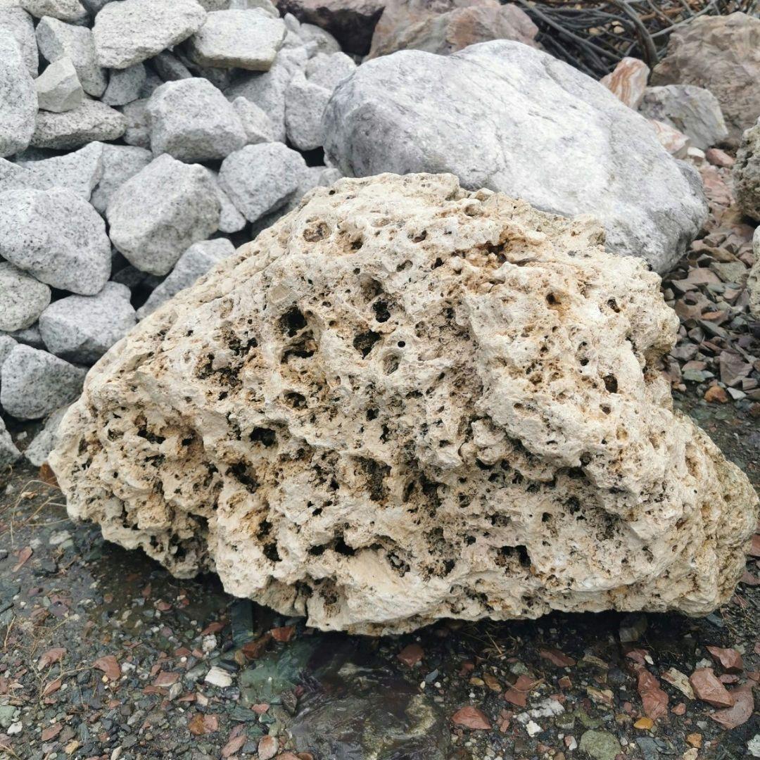 サンゴ石　104キロ　庭石　石　鑑賞石 石材　庭　ガーデニング　置物