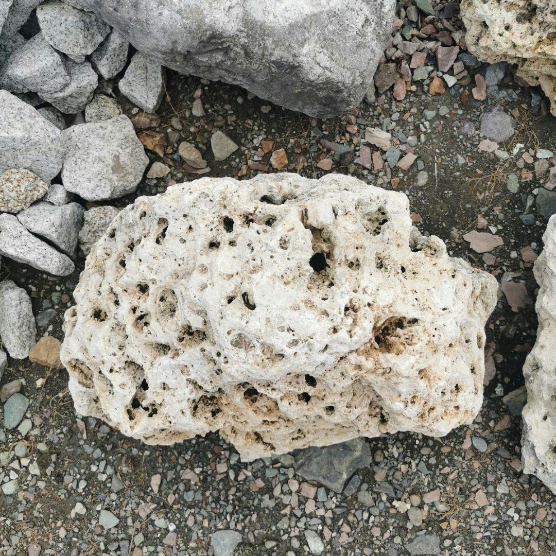 サンゴ石　104キロ　庭石　石　鑑賞石 石材　庭　ガーデニング　置物