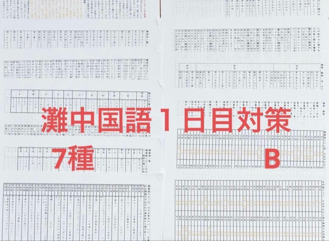灘中国語対策　ABCDE 国語知識13種+外来語+俳句+漢字パズル+過去問漢字