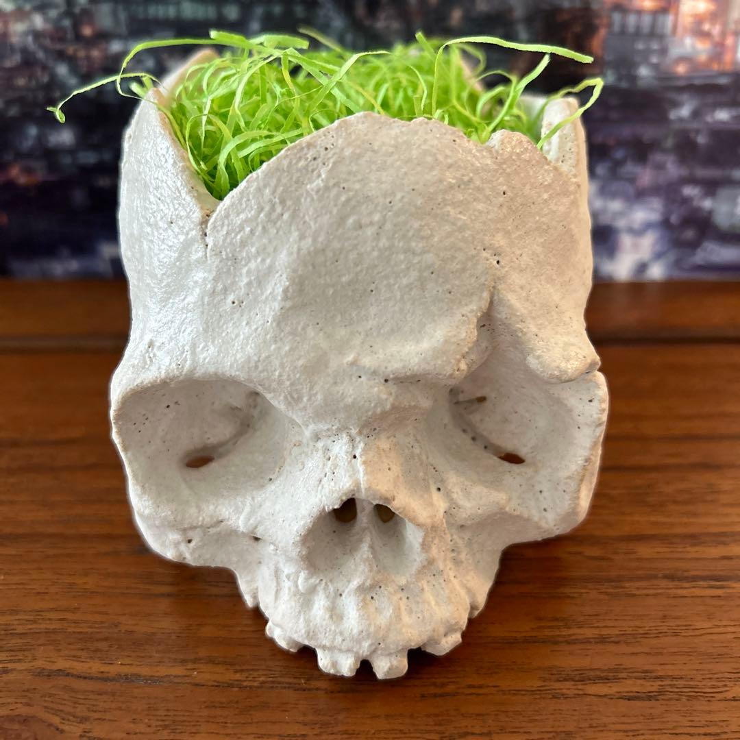 スカル型 プランター ／ 植木鉢