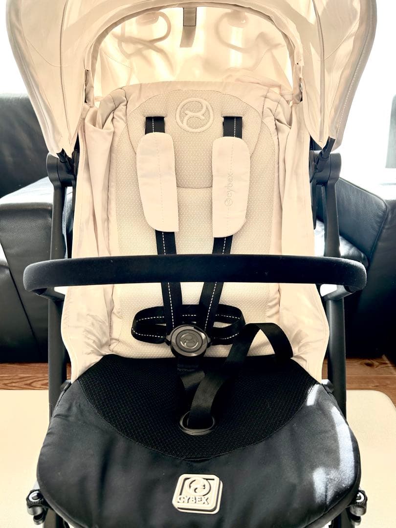 【おまけ多数】2025年　サイベックス　リベル