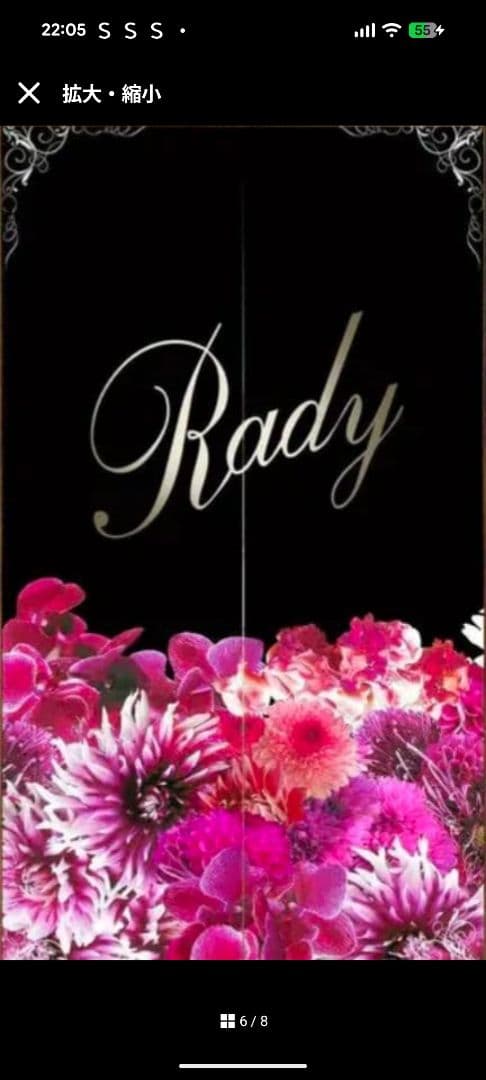 びびちゃん専用★カーテン 白、黒1点ずつ