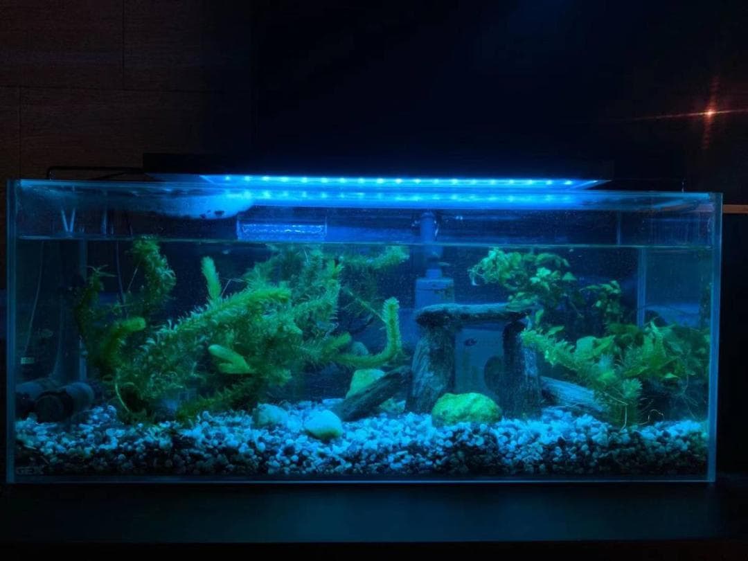 極BLUES LED アクアリウムライト120cm～135cm沖縄送料付