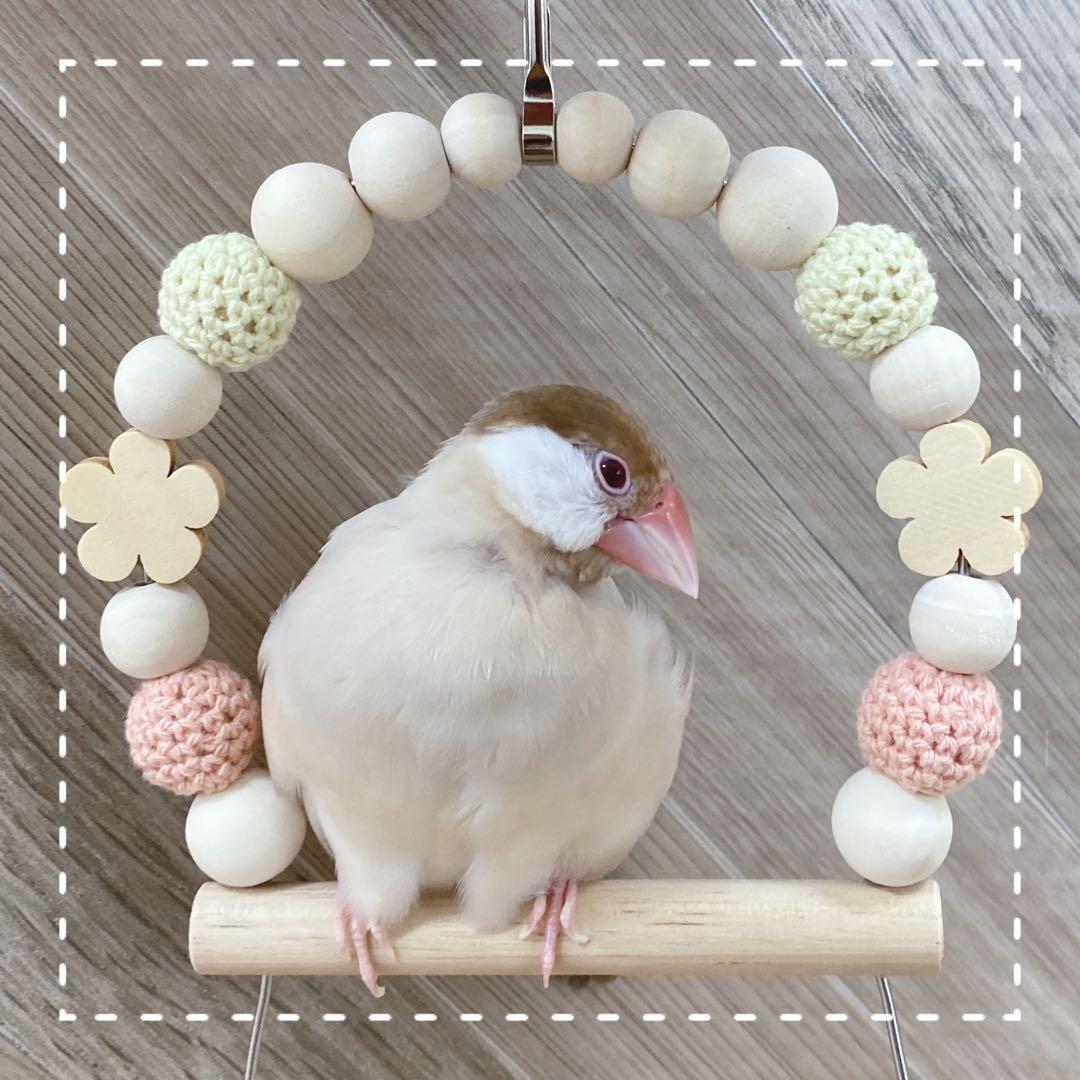 【けんちむ】ことりのあそびば