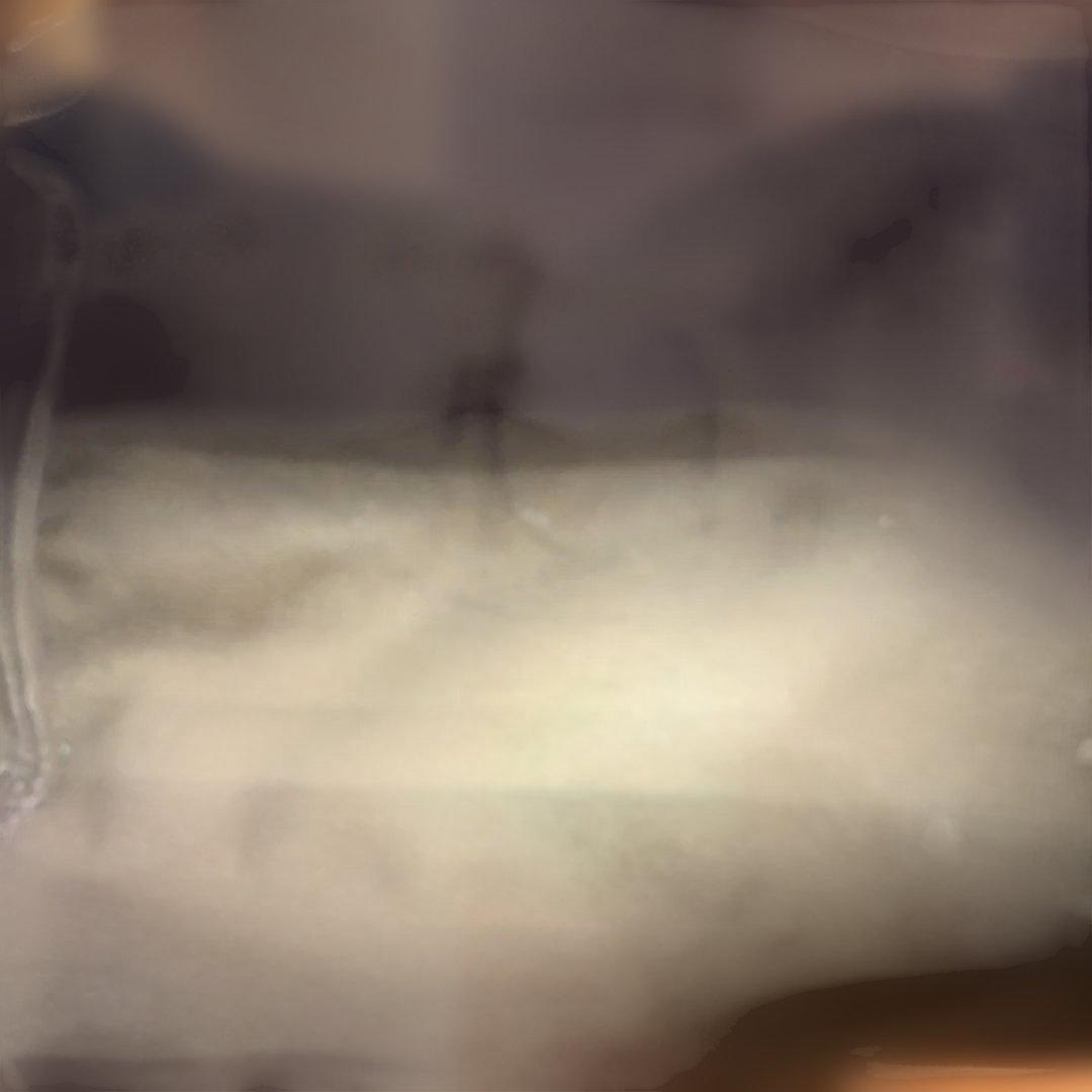 ルイヴィトン　スピーディ30 ボストンバッグ