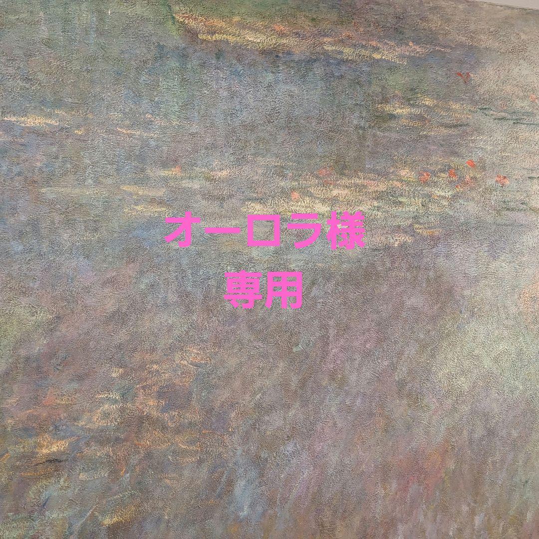 オーロラ ふんどしパンツ オーダー