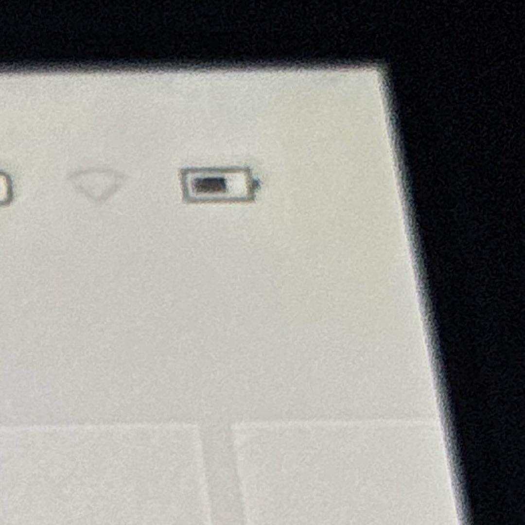 switch lite 本体のみ　アナログスティック交換済み