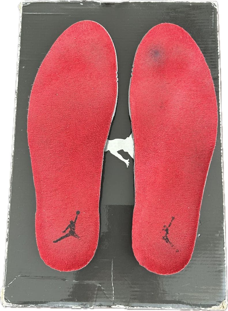 NIKE AIR JORDAN 6 26cm 桜木花道カラー