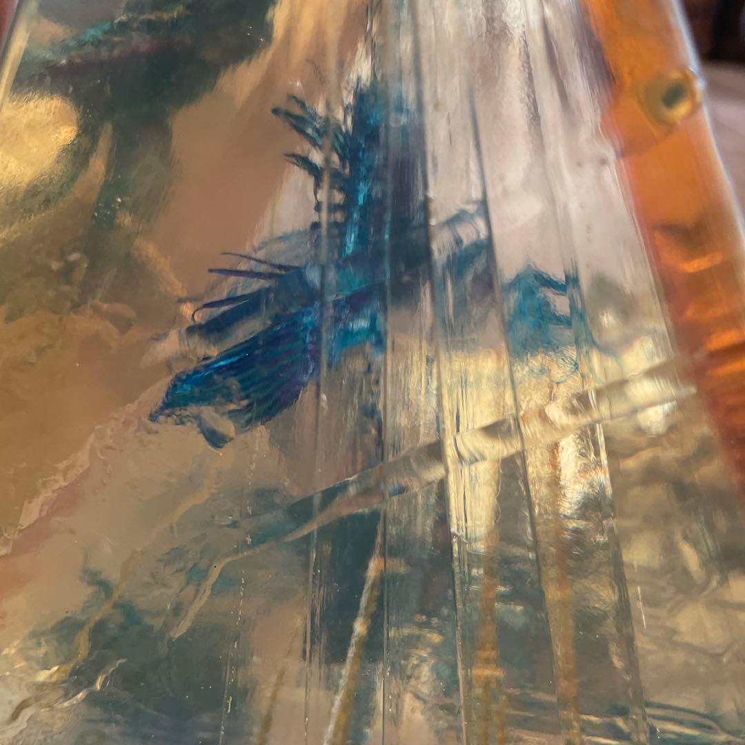 ミノカサゴ 標本 Pterois lunulata 約30cm