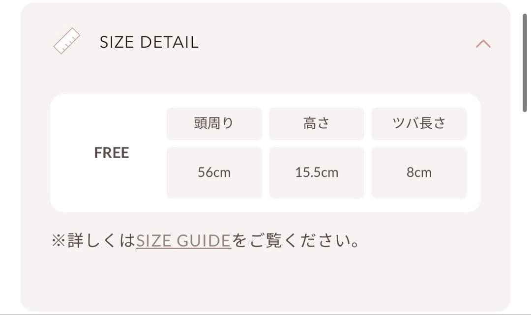 【新品タグ付き】Darich クリスタルロゴキャップ