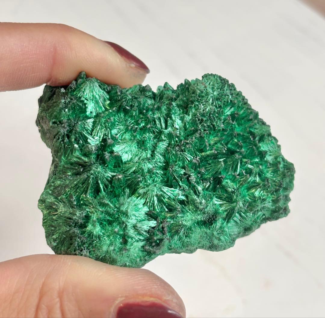 《放射状フラワー結晶が広がる》 マラカイト原石 天然・未研磨 鉱物標本