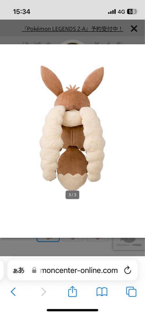 新品未開封ボタンのイーブイリュック　ポケモンセンター限定品ぬいぐるみバッグ