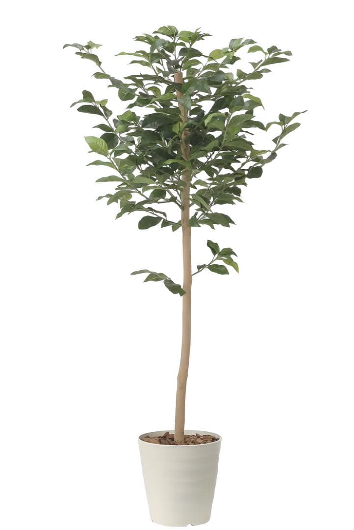 光触媒　人工観葉植物　ウォールグリーン　フェイクグリーン　レモンツリー1.6